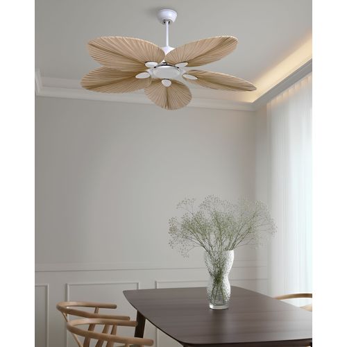 Ventilateur De Plafond Mammoth Naturel