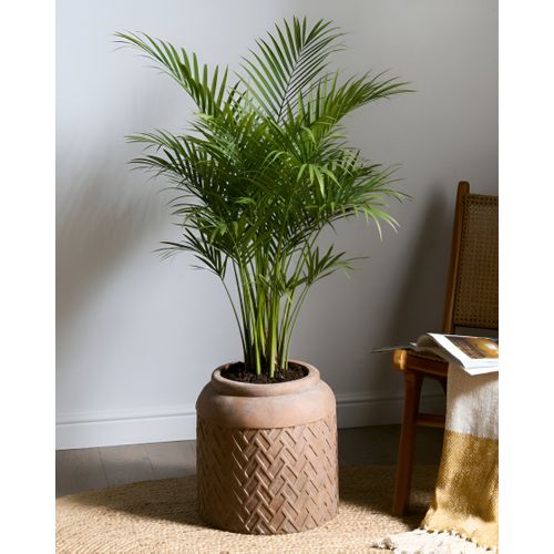 Cache-pot Gerakas 35 Cm Beige