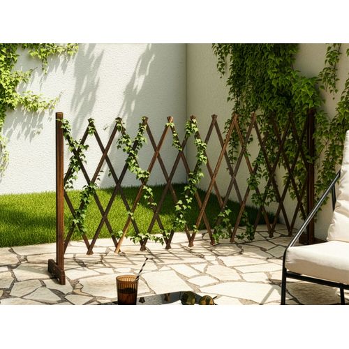 Treillis De Jardin Sciolze Extensible Marron Foncé