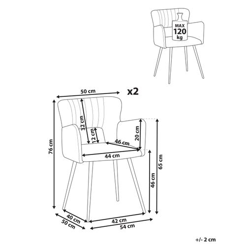 Lot De 2 Chaises De Salle à Manger Sanilac Velours Gris