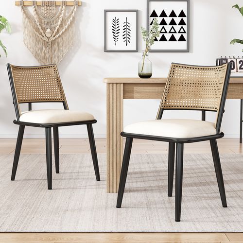 Lot De 2 Chaises Rotin Noir Avec Assise Pu Et Structure Métal