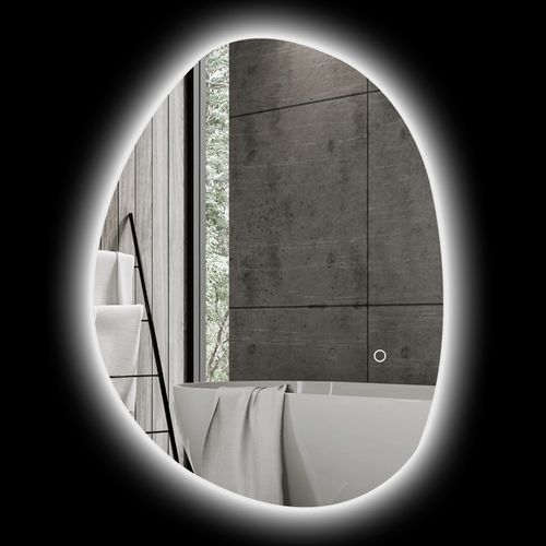 Miroir LED Asymétrique 70 X 50 Cm Salle De Bain, Interrupteur Tactile, Anti-buée, Argent