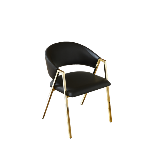 Lot De 2 Chaises De Salle à Manger Pu Noir Avec Cadre En Métal Doré