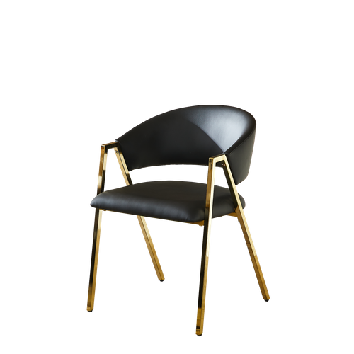 Lot De 2 Chaises De Salle à Manger Pu Noir Avec Cadre En Métal Doré