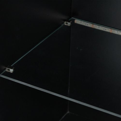 Vitrine Avec Éclairage LED Et Portes - Meuble De Rangement Pour Salon, 1 Étagère En Verre, Noir