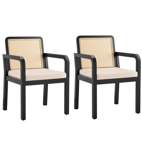 Chaise De Salle à Manger Lot De 2, Avec Dossier En Rotin Et Pieds En Bois, En Velours – Noir