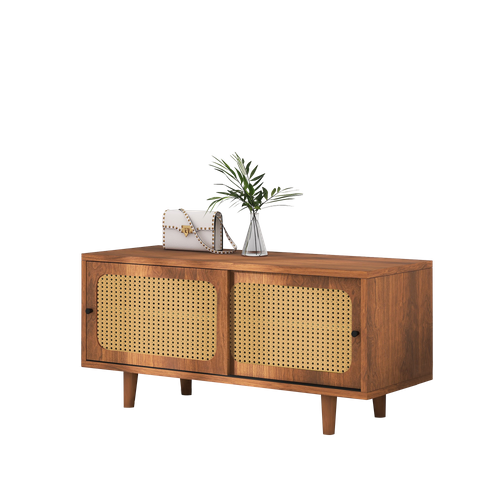 Meuble à Chaussures,2 Portes En Rotin Plastique,rayon Réglable,moderne,aggloméré,bois