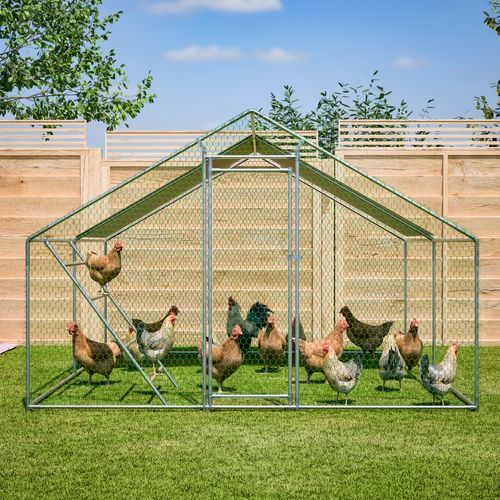 Enclos Poulailler 3x4 M En Acier Galvanisé Avec Échelle De Perchoir, Bâche Pe Anti-uv Et Verrou