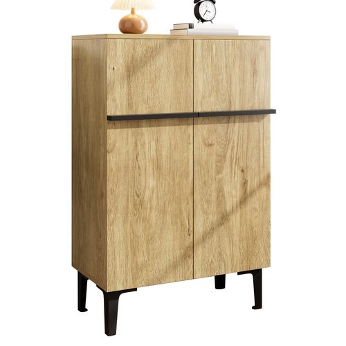 Meuble à Chaussures - Armoire à Chaussures 2 Portes - Étagères Réglables - Noir + Naturel