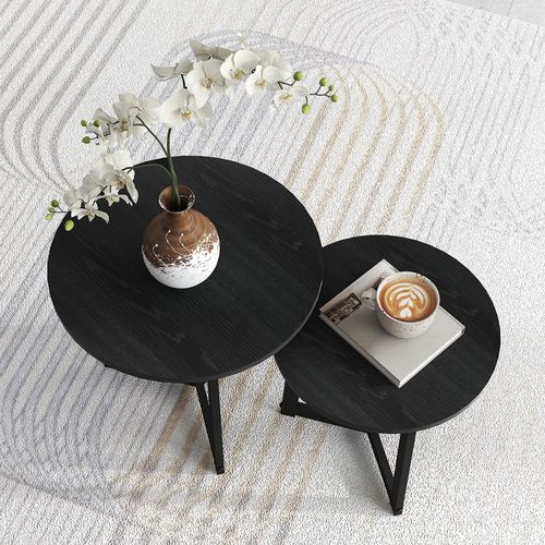 Lot De 2 Tables Basses Rondes En Acier, Design Moderne, Pour Salon, Noir, 35 Kg.