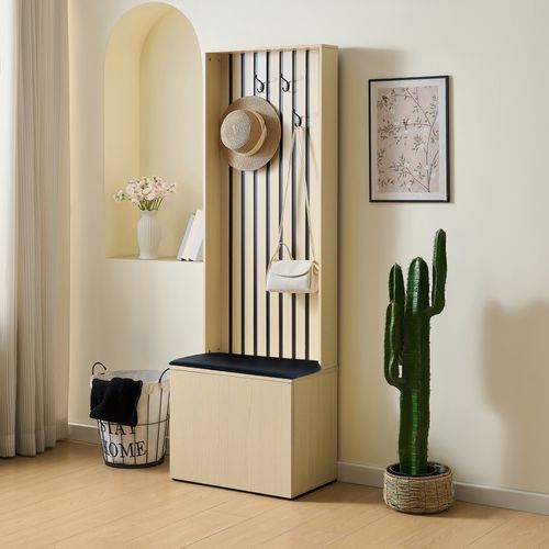 Armoire Moderne Avec Banc, Rangement Pour Chaussures, 4 Crochets, Coussins Et Espace De Rangement