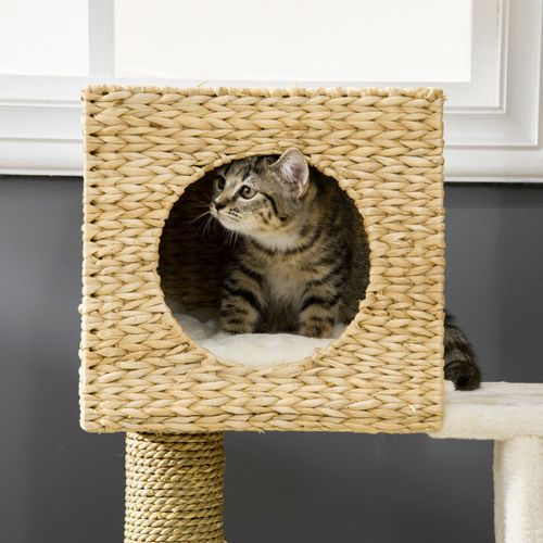 Arbre à Chat 100,5 Cm En Bois Naturel, Maison Et Couchage En Peluche, Échelle Et Griffoirs