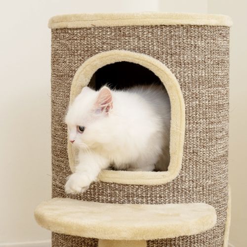 Lit - Tonneau Griffoir Pour Chat 60x60x61 Cm En Sisal Et Peluche Beige/marron, 2 Niveaux