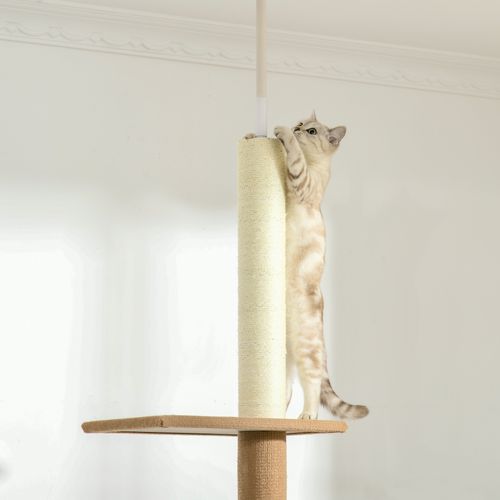Arbre à Chat Hauteur Réglable En Khaki, 4 Plateformes En Peluche, Fixation Plafond Sécurisée