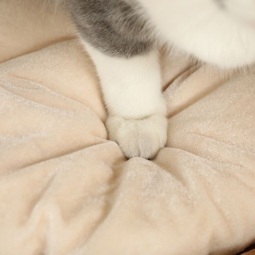 Tour à Griffer Pour Chat 40x50 Cm En Jacinthe D'eau Brun, 2 Niches Avec Coussins Amovibles