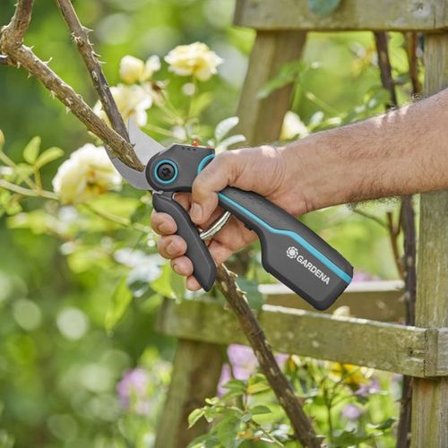 Sécateur à Batterie Assistcut