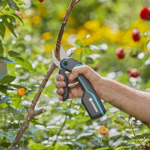 Sécateur à Batterie Assistcut
