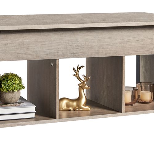 Table Basse Avec Plateau Relevable Table Élévatrice Avec Porte-revues 104.5x49.5x62 Cm Gris