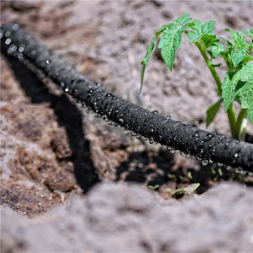 Tuyau D'arrosage Extensible De Jardin 30m