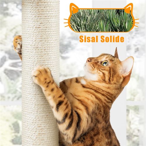 Petit Arbre à Chat Avec Litière, Niche Et Panier Griffoirs Cordes En Sisal, Brun Rustique/ Beige