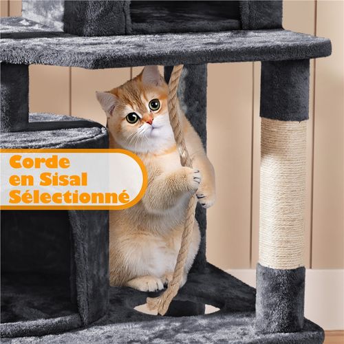 Arbre à Chat Multiniveau Tour Pour Chat Avec Hamac Jouets 2 Perchoirs 2 Cachettes, Gris Foncé