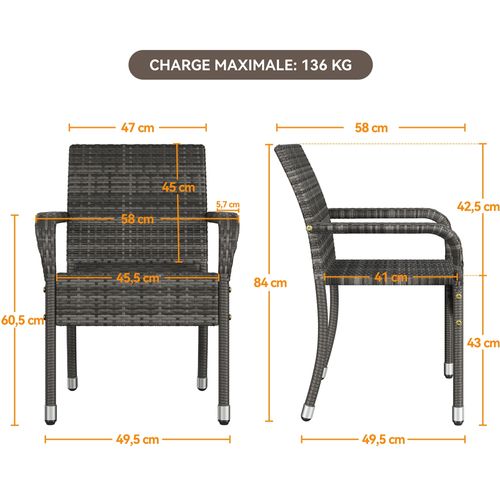Lot De 2 Fauteuils De Jardin En Rotin Synthétique Avec Accoudoirs Et Cadre En Métal, Gris