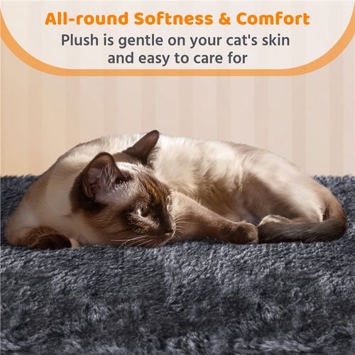 Petit Arbre à Chat En Peluche Avec Poteau En Sisal Et Planche à Griffer, Gris Foncé