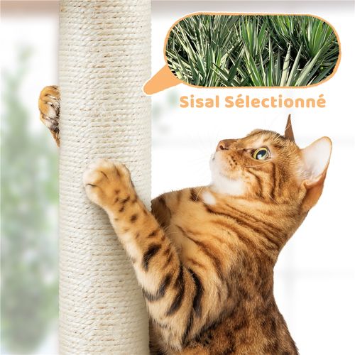 Petit Arbre à Chat En Peluche Avec Poteau En Sisal Planche à Griffer Boule Suspendue, Beige