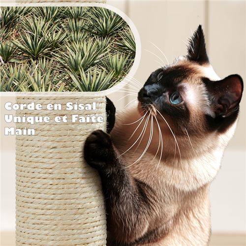 Arbre à Chat Multiniveau Avec Cachettes Et Poteaux à Griffer, 138,5 Cm De Haut Marron