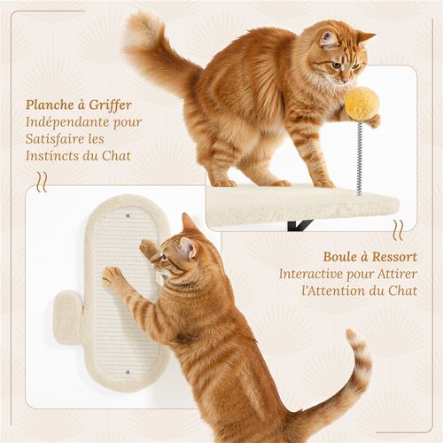 Arbre à Chat Mural Étagères Murales Avec Niches Paniers Griffoirs En Sisal Jouet Beige