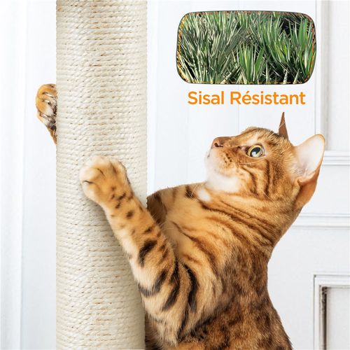 Arbre à Chat En Peluche Tour Multiniveau Avec Perchoirs Cachettes, 203 Cm H Gris Clair