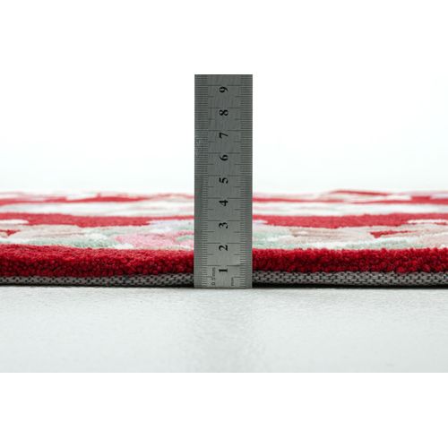 Tapis Tufté Main Avec Bordure En Design Aubusson - Ming 190x290 Cm - Rouge
