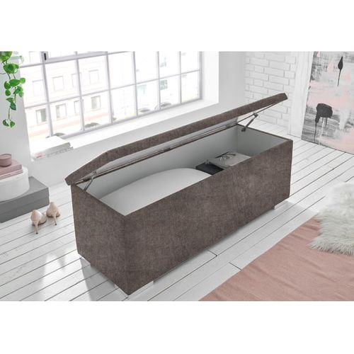 Bout De Lit Avec Coffre De Rangement - Marron