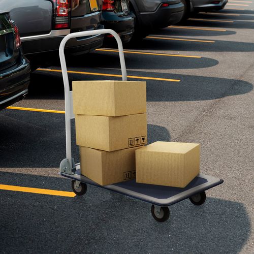 Chariot à Plateforme Carry Tôle En Acier Bleu/blanc