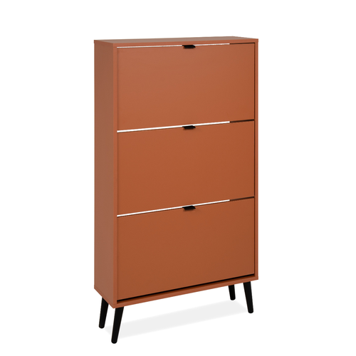 Armoire à Chaussures 3 Abattants Et 2 Compartiments Par Abattant L70cm