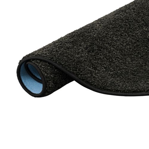 Tapis à Poils Longs Mona Rond 200cm Noir