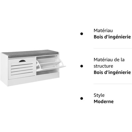 Banc De Rangement à Chaussures Armoire à Chaussures Meuble D'entrée 2 Abattants, Fsr62-w