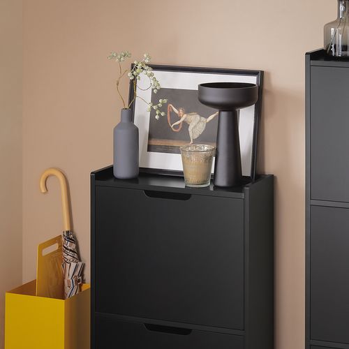 Meuble à Chaussures Meuble De Rangement à Chaussures Avec 2 Abattants, Noir, Fsr151-sch