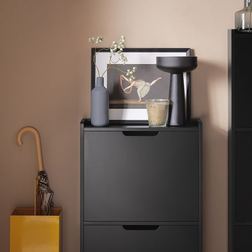 Meuble à Chaussures Meuble De Rangement à Chaussures Avec 2 Abattants, Noir, Fsr151-sch