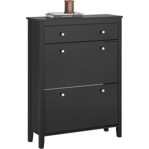 Armoire à Chaussures 2 Abattants Meuble D'entrée Coffre Rangement Noir, Fsr89-sch