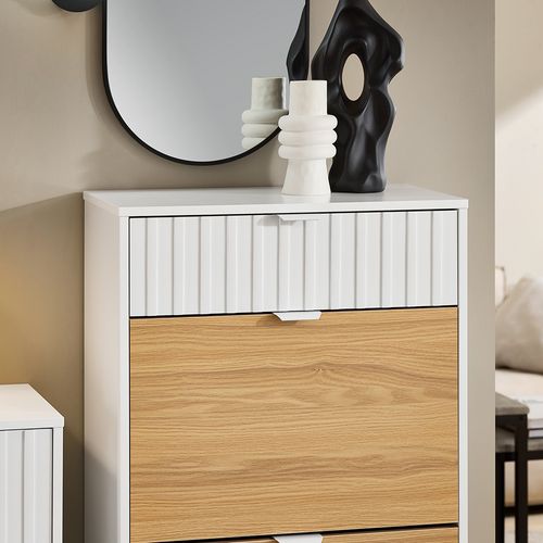 Meuble Chaussure, Rangement Chaussure,meuble De Rangement à Chaussures Armoire,fsr174-wn
