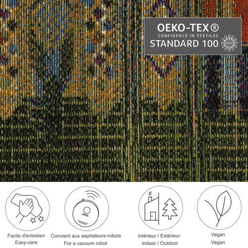 Tapis Pour Intérieur Et Extérieur Aurora 80x165 Cm - Vert