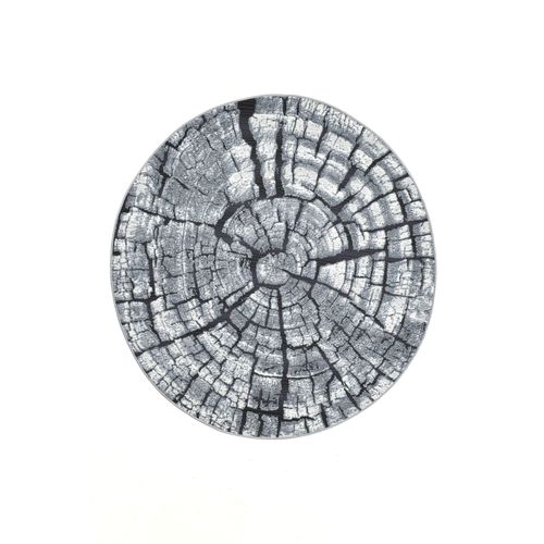 Tapis Pour Intérieur Et Extérieur Aurora Diam 240 Cm - Gris