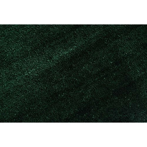 Tapis Shaggy Uni Cozy 190x290 Cm - Vert