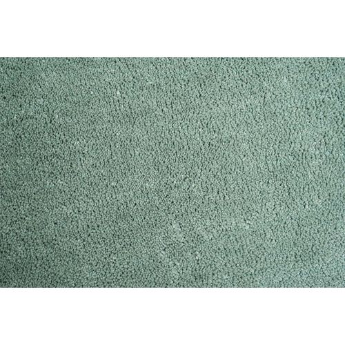 Tapis Shaggy Uni Cozy 160x230 Cm - Menthe