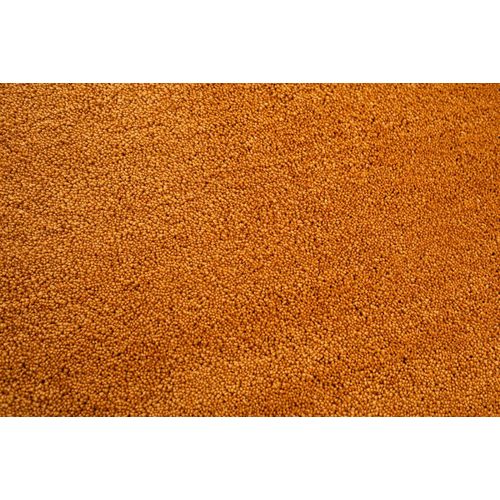 Tapis Shaggy Uni Cozy 135x200 Cm - Doré