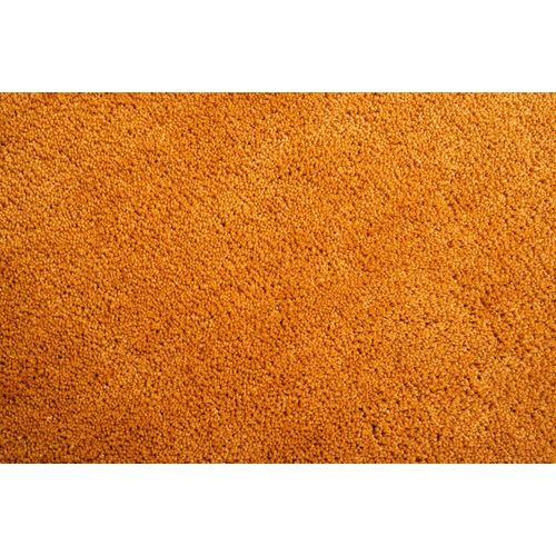 Tapis Shaggy Uni Cozy 160x230 Cm - Doré