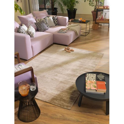 Tapis En Viscose Tissé Main Aspect Vieilli - Shine 300x400 Cm - Marron