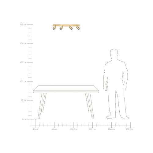 Spot à 4 Lumières Tigris Réglable Métal Doré