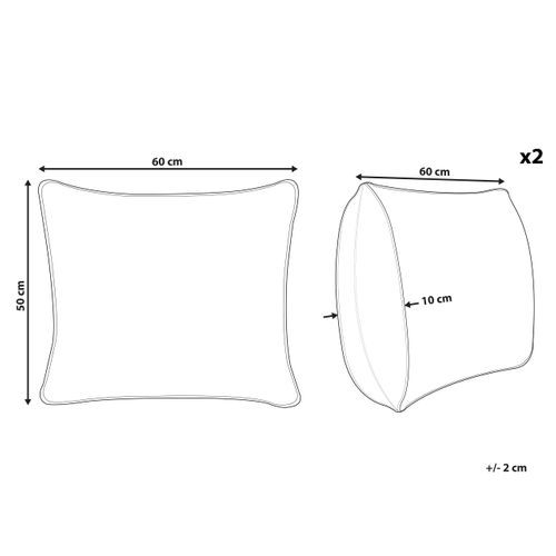 Lot De 2 Oreillers En Plumes Et Duvet De Canard 50 X 60 Cm Feldberg